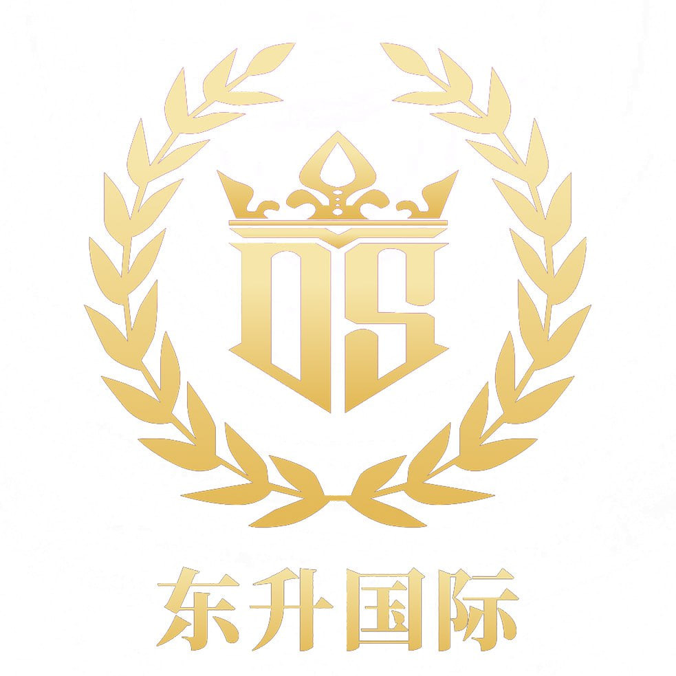 东升国际